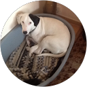 Profilbild von „Kaiuwe Remer“