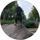 Profilbild von „Peter Berker“